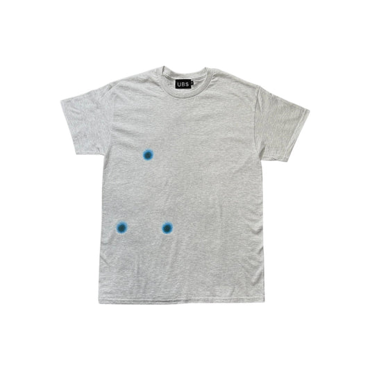 UBS 3 dot T